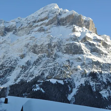 Wolter - Grindelwald