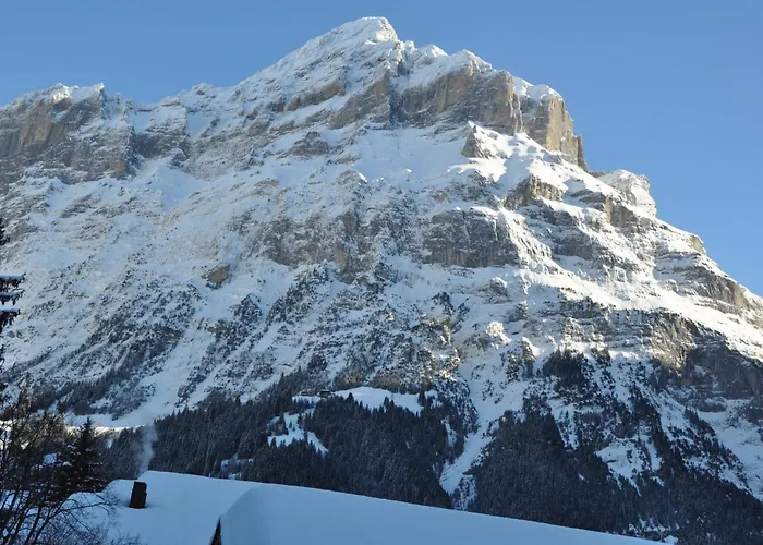 Wolter - Grindelwald