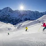 Wolter - Grindelwald